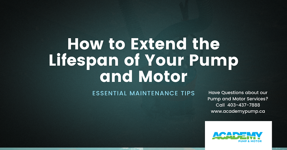 Extend Pump Lifespan: Essential Roller Assembly Maintenance